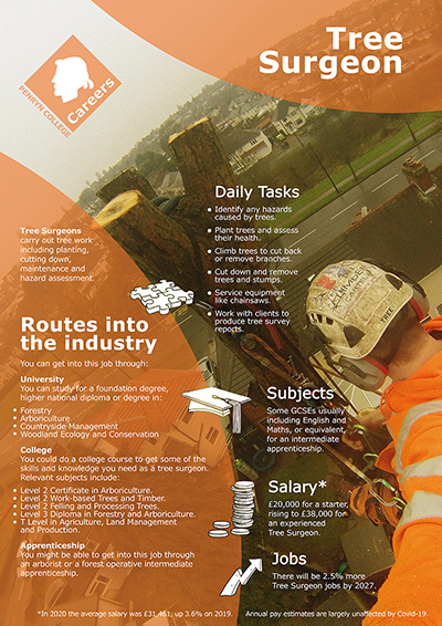 Tree Surgeon job poster